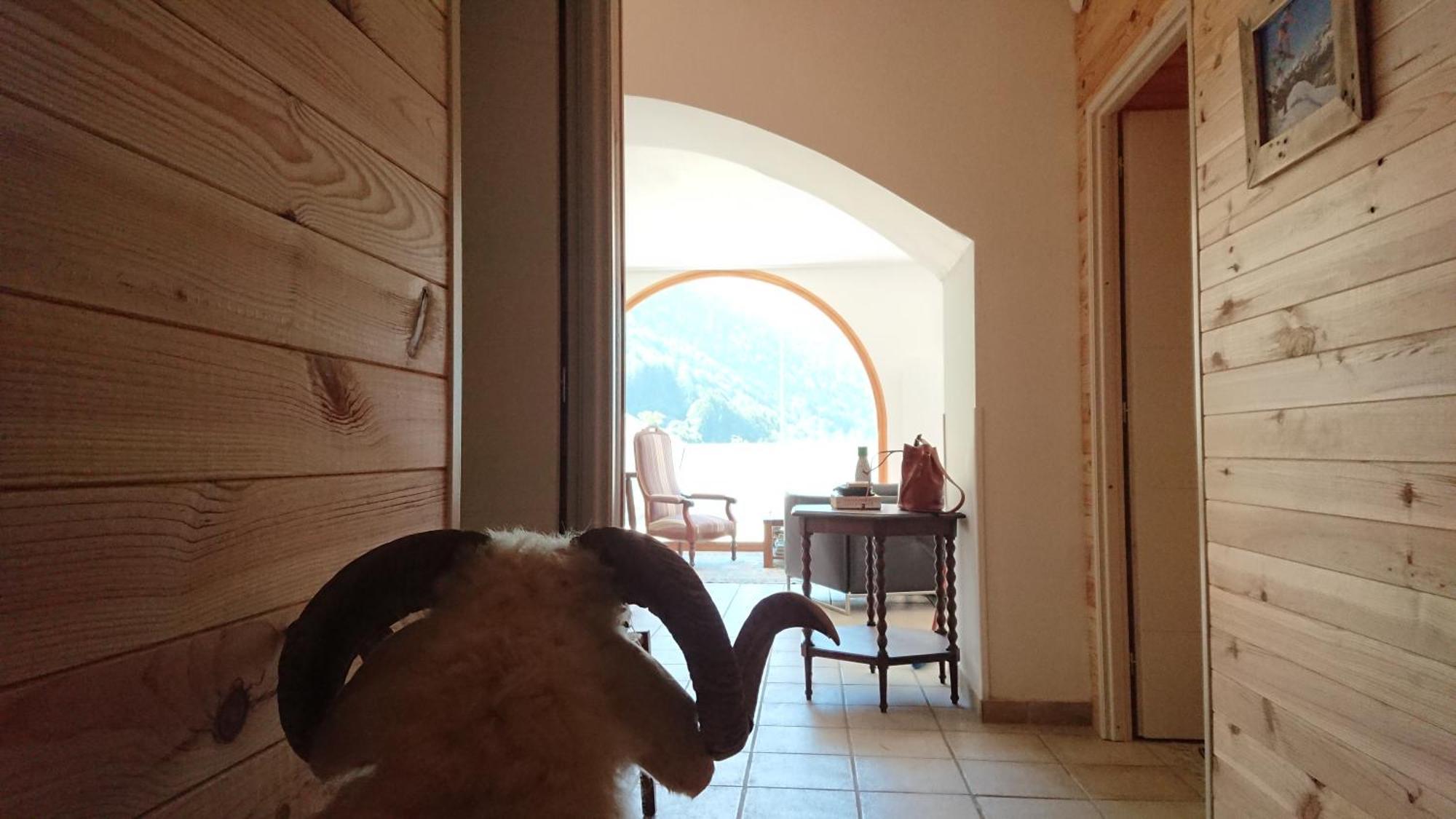 Superbe Logement 12 Pers Famille Ou Groupe. Ларёнс Экстерьер фото